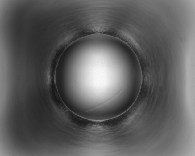 X0000088860635200706081153