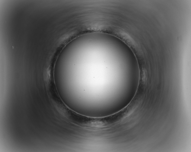 X0000088860636200706081153