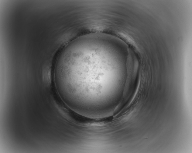 X0000088860638200706081153