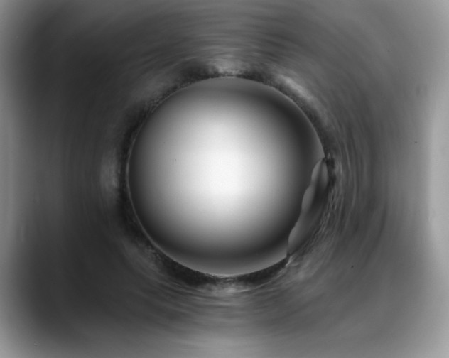 X0000088860639200706081153