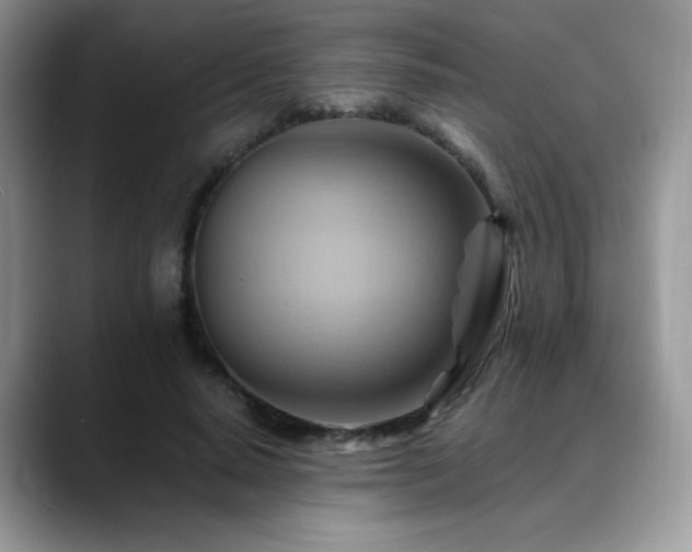 X0000088860640200706081153