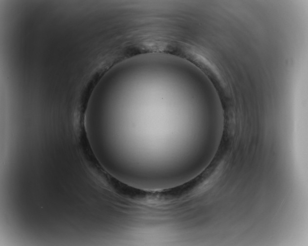 X0000088860641200706081153