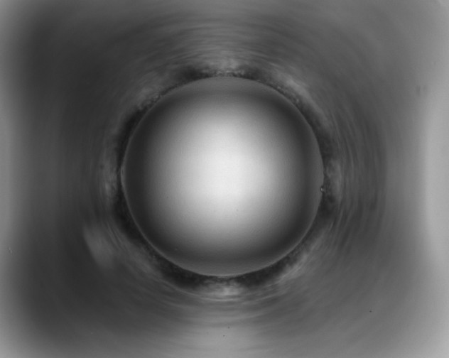 X0000088860642200706081153