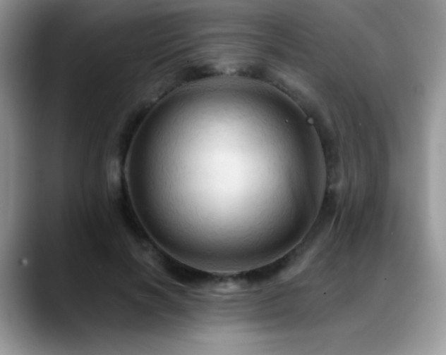 X0000088860646200706081153