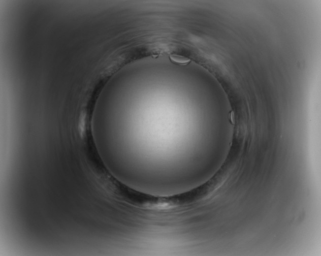 X0000088860647200706081153