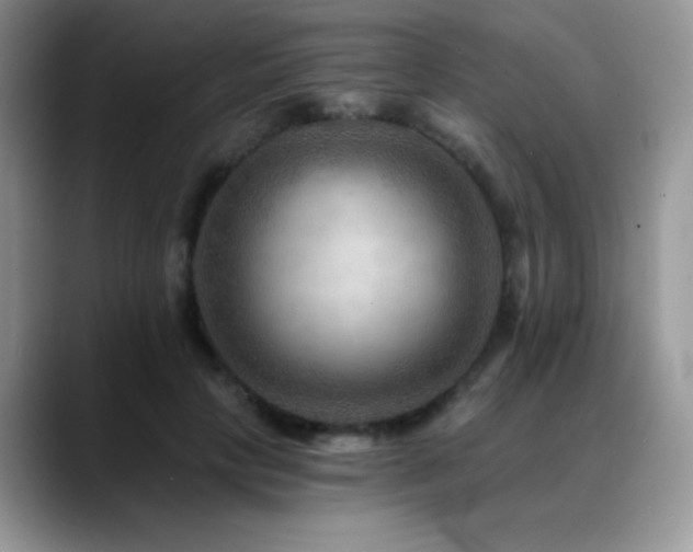 X0000088860649200706081153