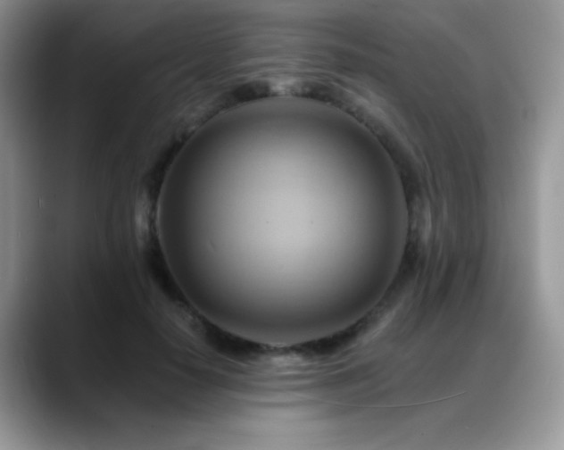 X0000088860650200706081153