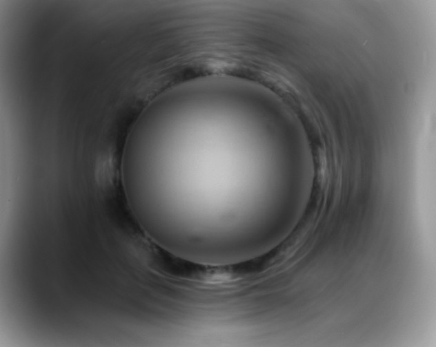 X0000088860651200706081153