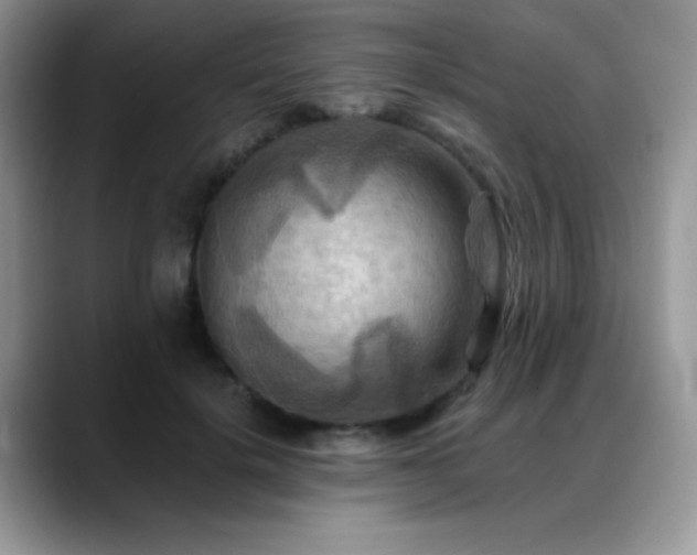 X0000088860652200706081153
