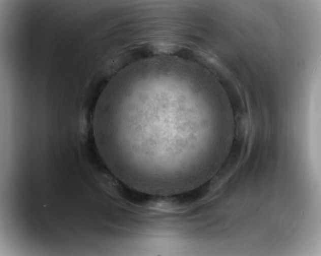 X0000088860655200706081154