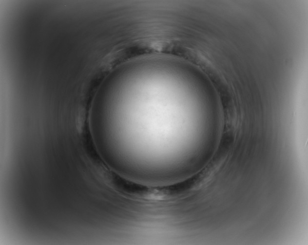 X0000088860656200706081154
