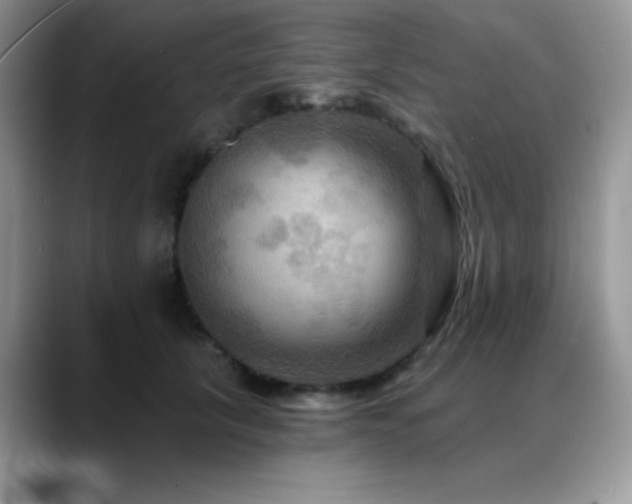 X0000088860657200706081154
