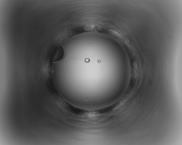 X0000088860659200706081154