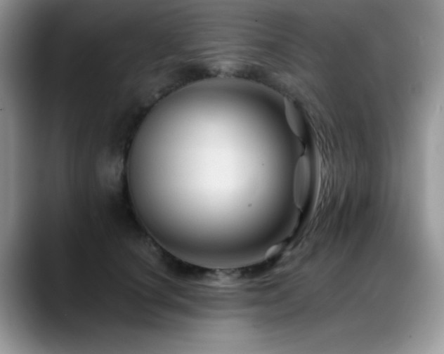 X0000088860660200706081154