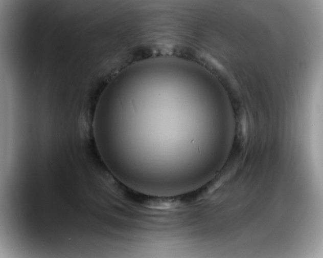 X0000088860661200706081154