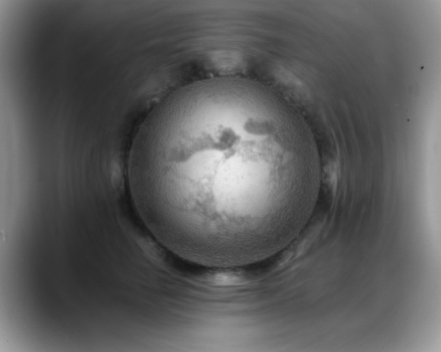X0000088860662200706081154