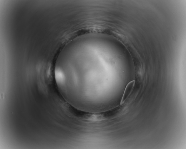X0000088860663200706081154