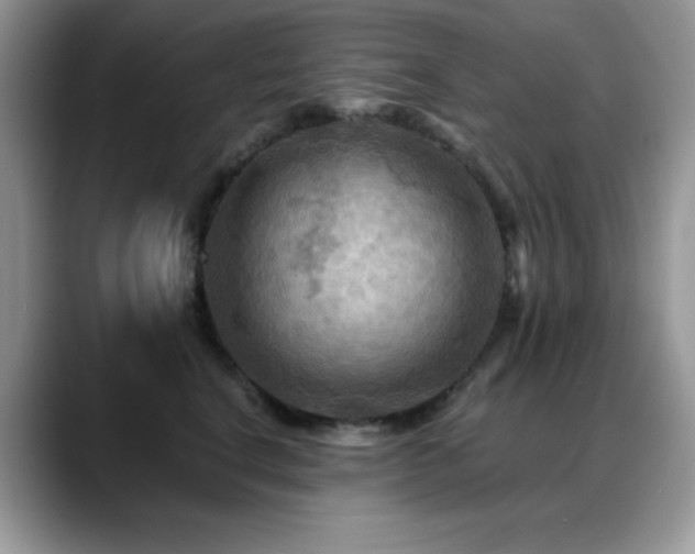 X0000088860664200706081154