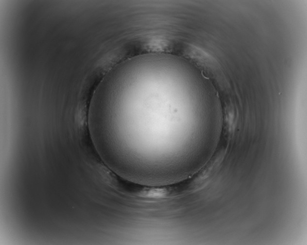 X0000088860665200706081154