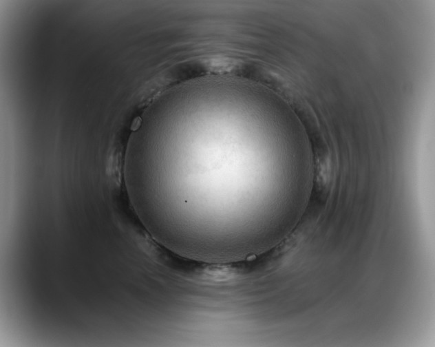 X0000088860666200706081154