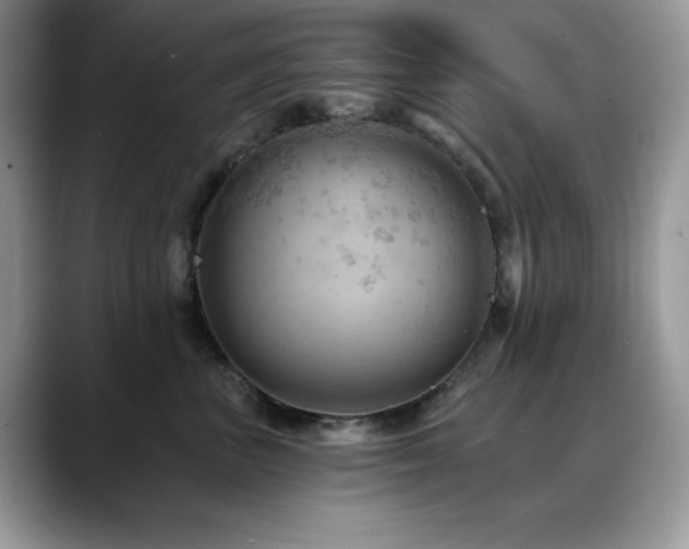 X0000088860667200706081154