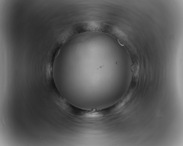 X0000088860669200706081154