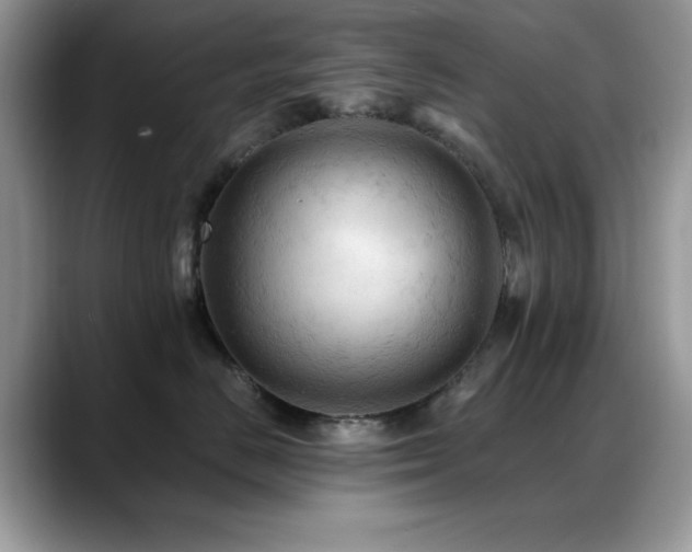 X0000088860670200706081154