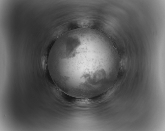 X0000088860671200706081154
