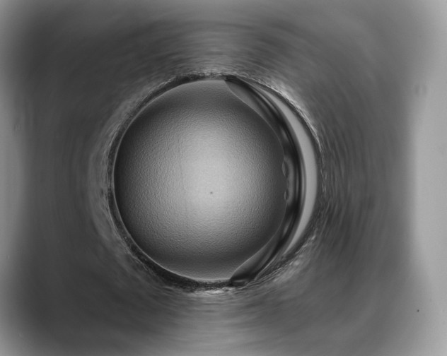 X0000088860673200706081153