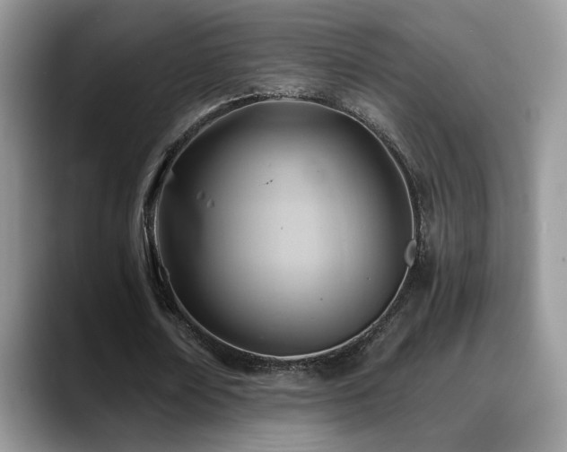 X0000088860674200706081153