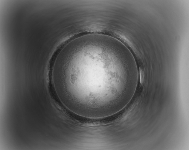 X0000088860675200706081153
