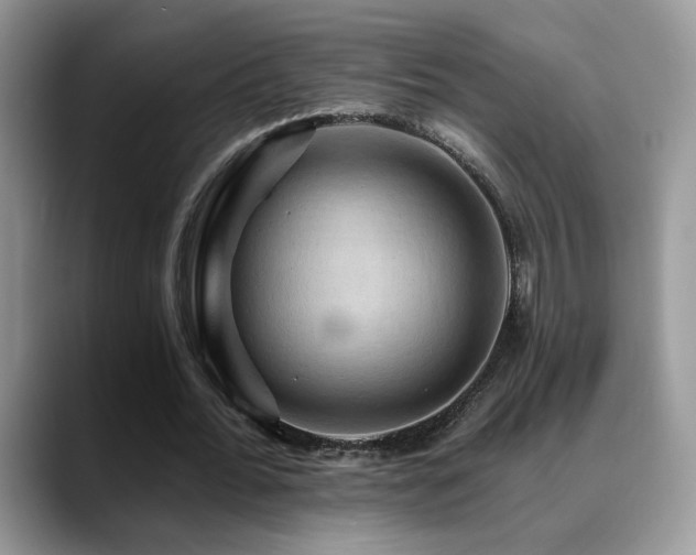 X0000088860676200706081153