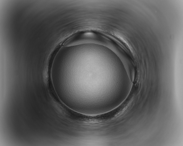 X0000088860677200706081153