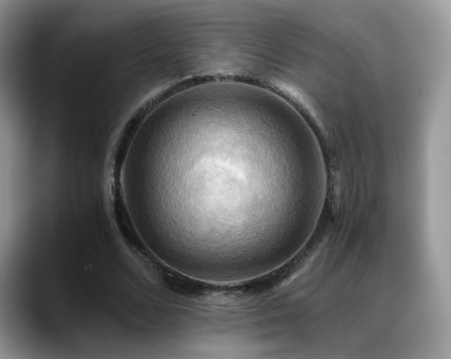 X0000088860680200706081153