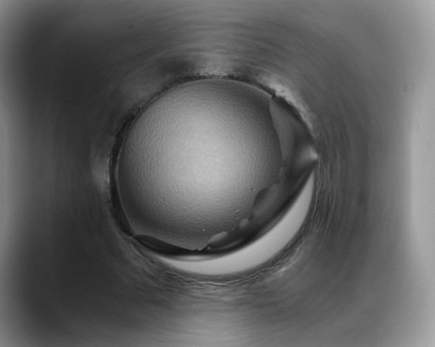 X0000088860681200706081153