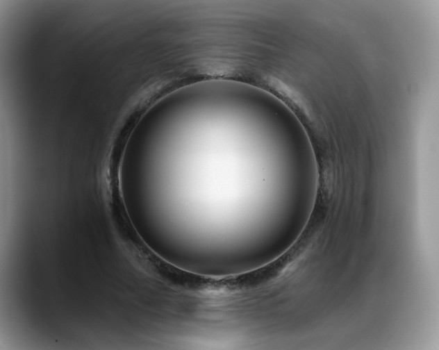 X0000088860682200706081153