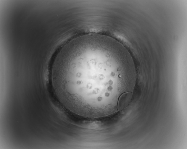 X0000088860683200706081153