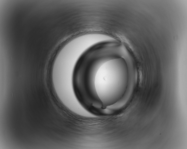 X0000088860684200706081153