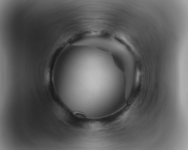 X0000088860685200706081153