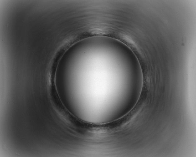 X0000088860686200706081153