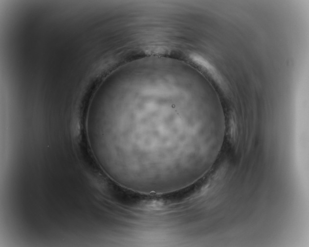 X0000088860687200706081153