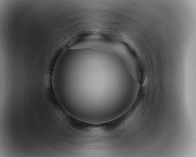 X0000088860689200706081153
