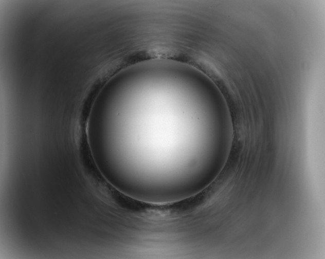 X0000088860690200706081153