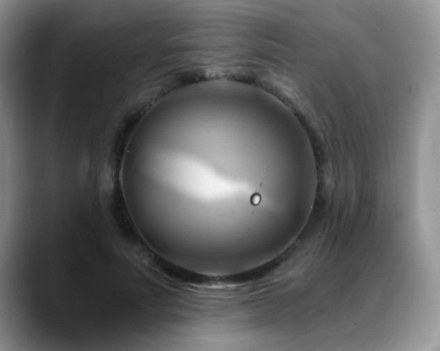 X0000088860691200706081153