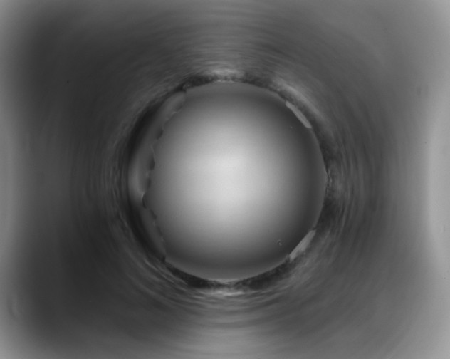 X0000088860692200706081153