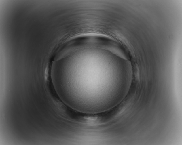 X0000088860693200706081153