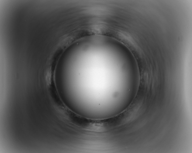 X0000088860694200706081153