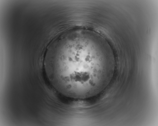 X0000088860695200706081153