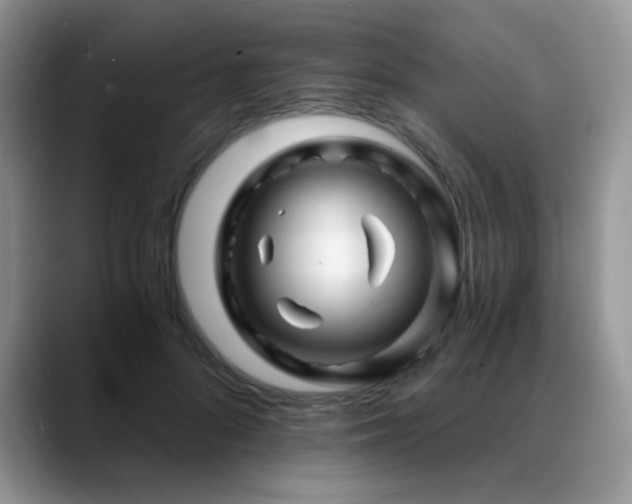 X0000088860696200706081153