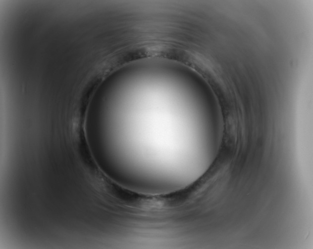 X0000088860698200706081153